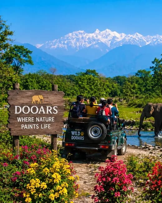 A safari jeep and elephants beside the Dooars welcome sign, hills behind