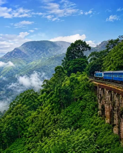 A train curving along a hillside viaduct through the forested Eastern Ghats