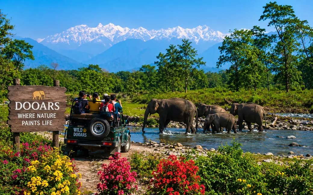 A safari jeep and elephants beside the Dooars welcome sign, hills behind